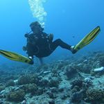 Profile Picture of Greg Grady (@greg_grady) on Instagram