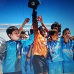 Profile Picture of Allen Shapiro (@wskinsisma) on Instagram