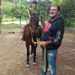 Joaquim Felipe Paddock - Instagram Profile Picture of Joaquim Felipe Paddock (@joaquimfelipepaddock) on Instagram