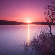 Profile Picture of Lalit Rai (@lalitrai2810) on Twitter