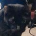 Profile Picture of Andrew Nims (@andrew.nims.1485) on Facebook