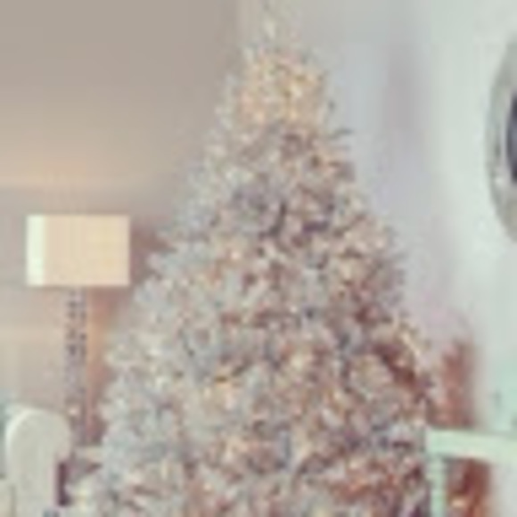 Profile Picture of Sandra Joseph (@sandrajoseph437) on Poshmark