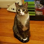 Evan Nixon - Instagram Profile Picture of Evan Nixon (@literally_evan) on Instagram