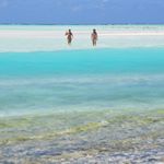 Profile Picture of ulrike von reibnitz (@theophil34) on Instagram