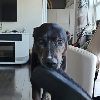 Profile Picture of Nathan (@nathan.ciufo) on Instagram