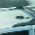 Profile Picture of bryan__holder (@bryan__holder) on Instagram