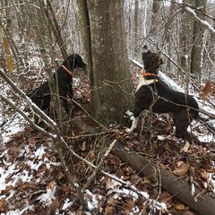 Profile Picture of jameschristian112275 (@jameschristian112275) on Tiktok