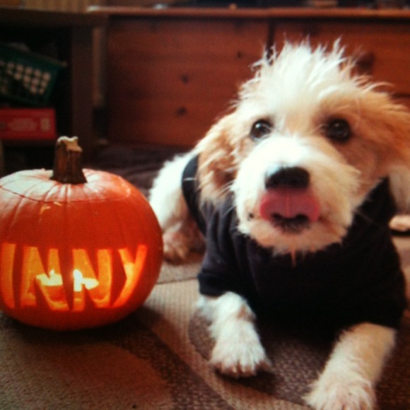 Profile Picture of Deena Dino (@dennadino) on Poshmark