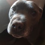 Profile Picture of Jason Goslin (@jasongoslin) on Instagram