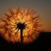 Profile Picture of Tina Bartlebaugh (@tina.bartlebaugh.9) on Facebook