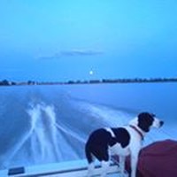 Profile Picture of George Willey (@george-willey-1) on Quora