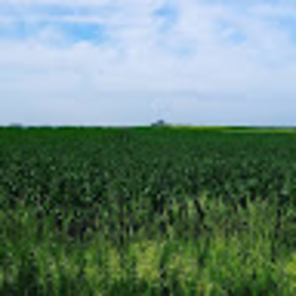 Profile Picture of Melinda Kilty (@mkiltydvm) on Poshmark