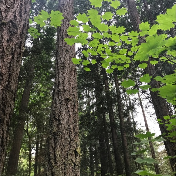 Profile Picture of Brock Beeson (@brockbeeson) on Poshmark