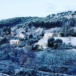 Profile Picture of colette Rodriguez (@coletterodriguez58) on Instagram