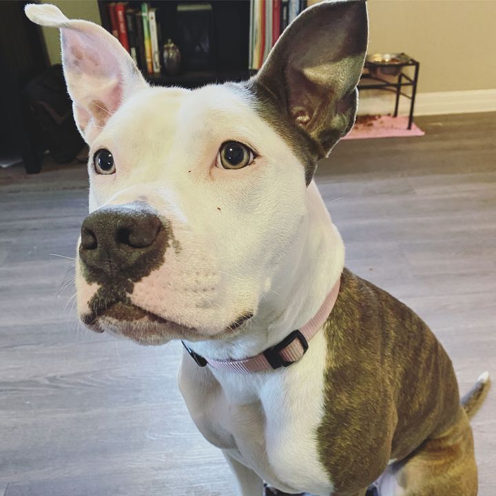 Profile Picture of Leroy Adam (@leroyadam) on Tiktok