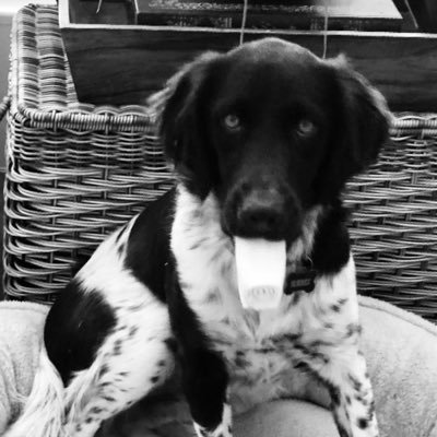 Profile Picture of Casey Stanfield (@PlaceAndFinish) on Twitter