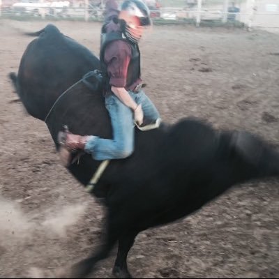 Profile Picture of Justin Wilhite (@justinwilhite14) on Twitter