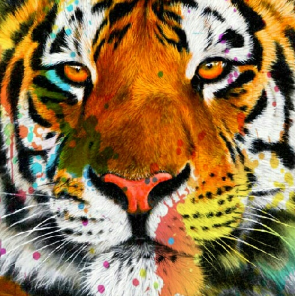 Profile Picture of Jessica Frontz (@anarion86) on Poshmark