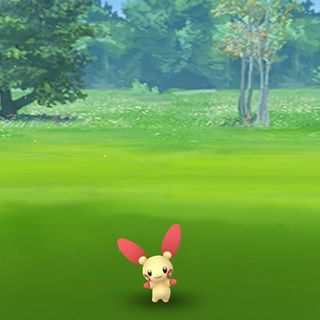 Profile Picture of Cecilia Koster (@Cecilia-Koster) on Facebook