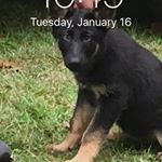 Profile Picture of Brandon Nicholas Bartl (@blue_lighting_moon_2019) on Instagram