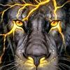 Profile Picture of Lazarus (@@will_lazarus) on Tiktok