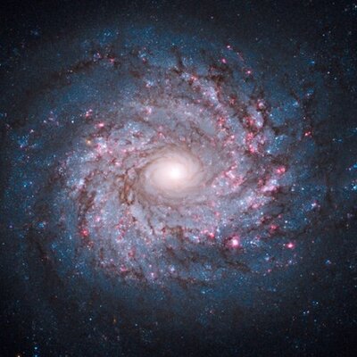 Profile Picture of Daniel Pflug (@Flooger33) on Twitter