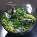 Profile Picture of Roxana Esquivel Hidalgo (@roxeh11) on Pinterest