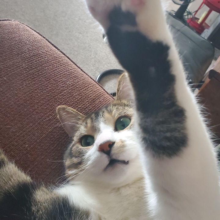 Profile Picture of Ned Schnebly (@nedschnebly) on Tiktok