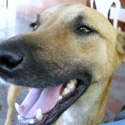 Profile Picture of James Romine (@JamesKRomine) on Twitter