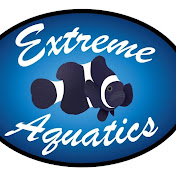 Profile Picture of Thomas Lazarski (@thomaslazarski8311) on Youtube