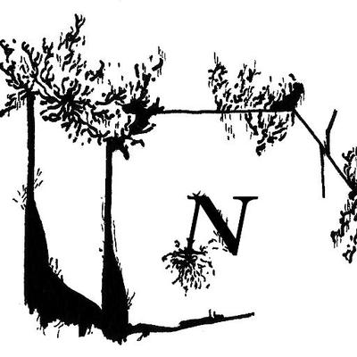 Profile Picture of Notice Recordings (@NoticeRecs) on Twitter