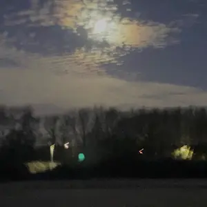 Profile Picture of <33 (@beedoopboop) on Tiktok