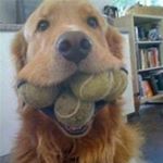 Profile Picture of Vicki Simmonds (@v_simmonds) on Instagram