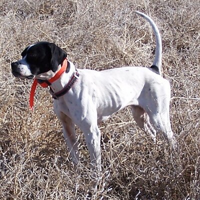 Profile Picture of Gregory Craig (@gkcraig352) on Twitter
