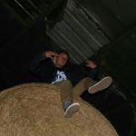 Profile Picture of Honey Badger (@douglas_brush) on Instagram