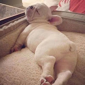 Profile Picture of Jian Yang (God ErLang) (@d2fanjay) on Youtube