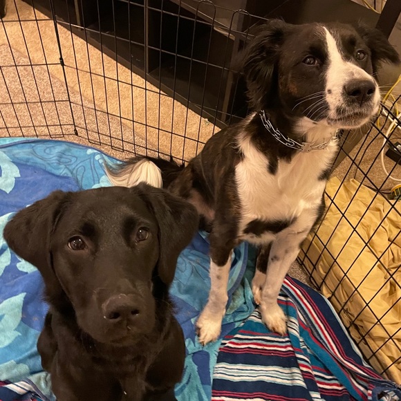 Profile Picture of Rebecca Likens (@blikens20) on Poshmark