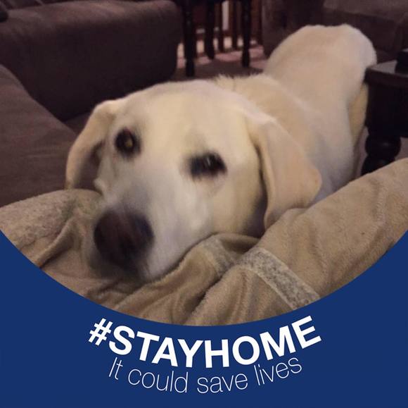 Profile Picture of Sandi Steigerwalt (@jays41mom) on Poshmark