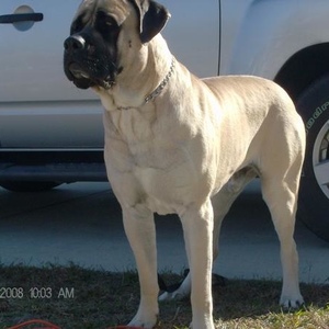 Profile Picture of Rummy O'neil (@124694901) on Myspace
