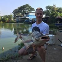 Profile Picture of Stephen Cully (@stephen-cully-1) on Quora