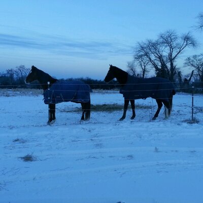 David Gladson - Twitter Profile Picture of David Gladson (@offtoraces) on Twitter