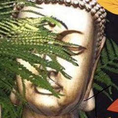 Profile Picture of Andrew Milliken (@andrew.milliken) on Tiktok