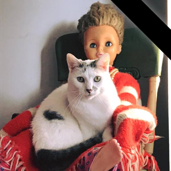 Shelly Enright - Poshmark Profile Picture of Shelly Enright (@shell010603) on Poshmark