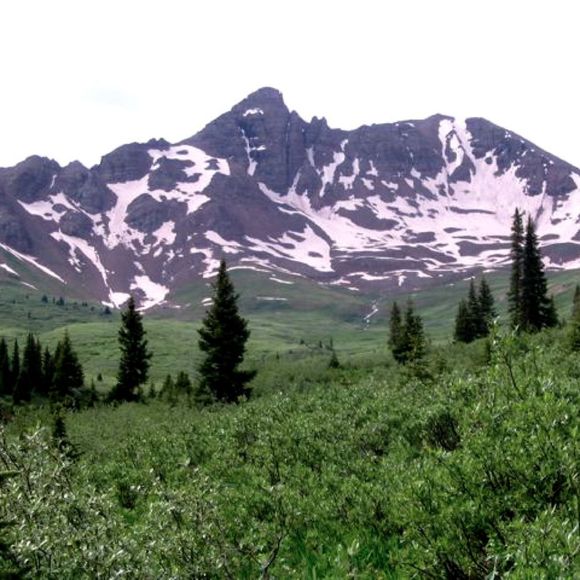 Anne Tenser - Poshmark Profile Picture of Anne Tenser (@atens) on Poshmark