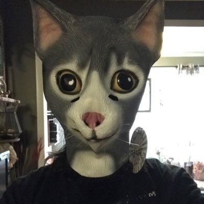 Profile Picture of Lance Lloyd (@MrLanceLloyd) on Twitter