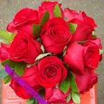 Profile Picture of zhang jianwen (@zhangjwfamily) on Instagram