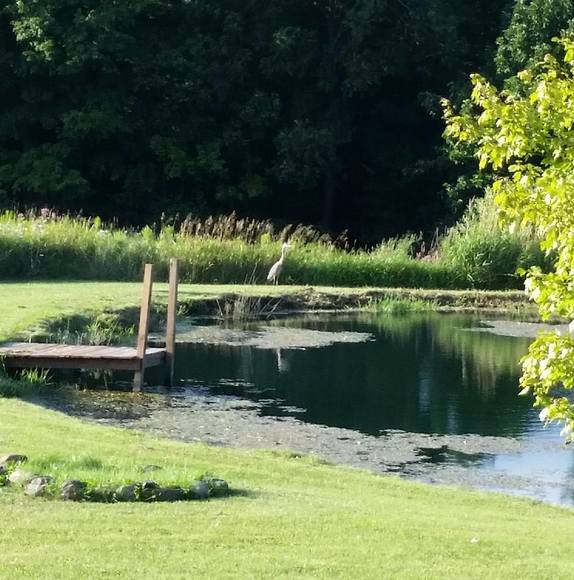 Melinda Booth-inglut - Poshmark Profile Picture of Melinda Booth-inglut (@malinka2758aol) on Poshmark