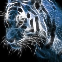 Profile Picture of Pamela Lamb (@pamela-lamb-2) on Quora