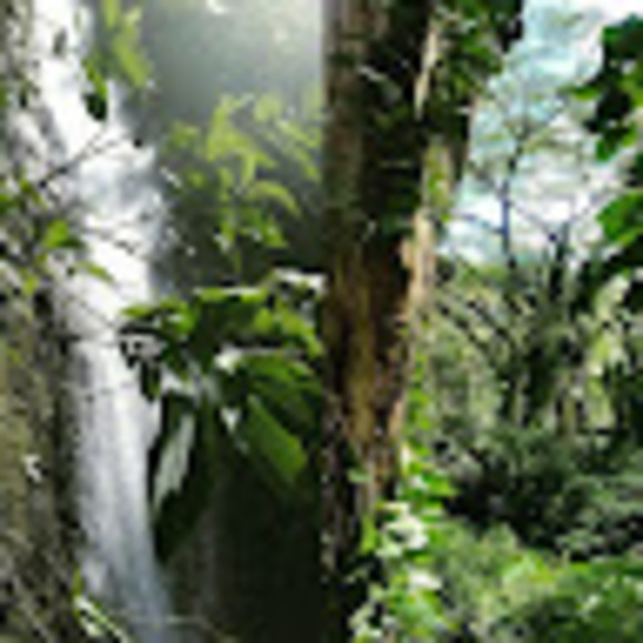 Profile Picture of Richard Maynard (@rmaynard8492) on Poshmark