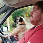 Profile Picture of Daniel Williams (@tygertoeshotmail.co.uk) on Instagram